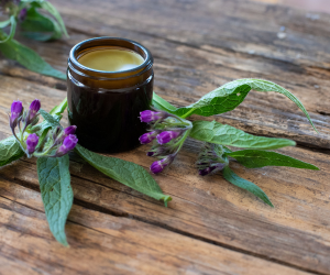 Discovering Comfrey: A must have herb for your Garden