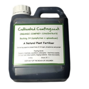 Natural plant feed Comfrey Concentrate – Organic liquid bio-stimulant